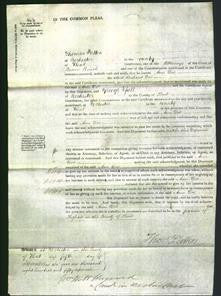 Court of Common Pleas - Ann Doe-Original Ancestry