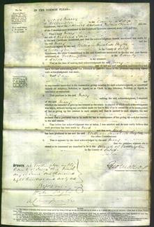 Court of Common Pleas - Mary Jones-Original Ancestry