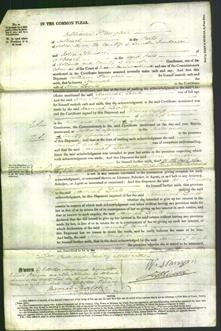 Court of Common Pleas - Hannah Levitt-Original Ancestry