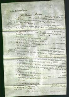 Court of Common Pleas - Honor Toms, Ann Parson Cock-Original Ancestry