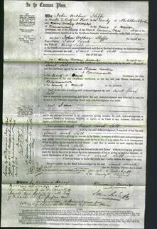 Court of Common Pleas - Janet Sarah Salt-Original Ancestry