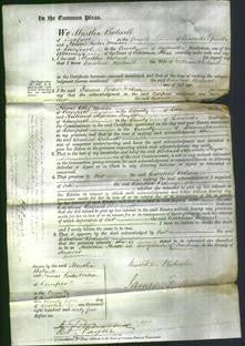 Court of Common Pleas - Caroline Bolwell-Original Ancestry