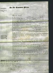 Court of Common Pleas - Elizabeth Pearson-Original Ancestry