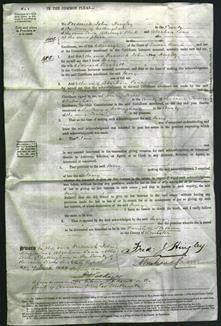 Court of Common Pleas - Mary Barnett-Original Ancestry