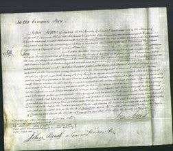 Court of Common Pleas - Frances Ashmore-Original Ancestry