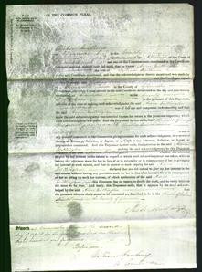 Court of Common Pleas - Anne Millington Holtham-Original Ancestry