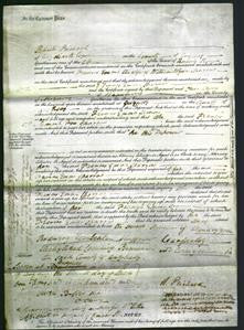 Court of Common Pleas - Frances Emma Sparrow-Original Ancestry