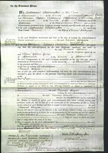 Court of Common Pleas - Hannah Morgan-Original Ancestry