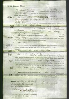 Court of Common Pleas - Mary Anne Openshaw-Original Ancestry