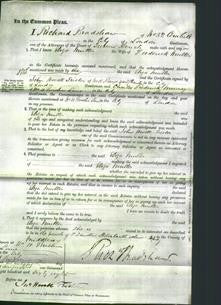 Court of Common Pleas - Eliza Muller-Original Ancestry