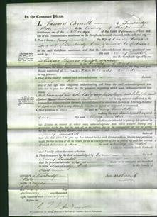 Court of Common Pleas - Nancy Lansdell Lovegrove-Original Ancestry