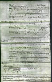 Court of Common Pleas - Sarah Gratton-Original Ancestry