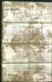 Court of Common Pleas - Harriet Howson-Original Ancestry