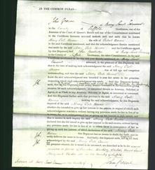 Court of Common Pleas - Mary Peele Bevan-Original Ancestry