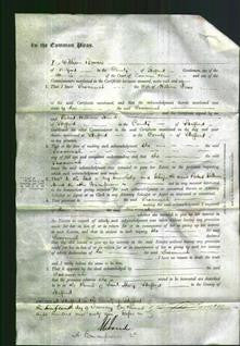 Court of Common Pleas - Susannah Leese-Original Ancestry