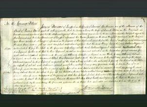 Court of Common Pleas - Mary Petvin-Original Ancestry