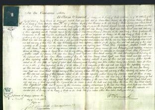 Court of Common Pleas - Ann Nunney, Sarah Wyatt and Maria Calcutt-Original Ancestry