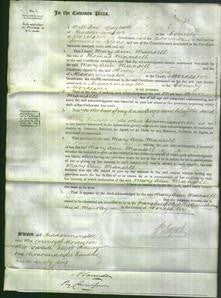 Court of Common Pleas - Mary Ann Mansell-Original Ancestry