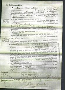 Court of Common Pleas - Ellen Stubbs-Original Ancestry