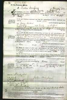 Court of Common Pleas - Jane Bailey-Original Ancestry