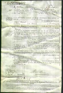 Court of Common Pleas - Emma Stone-Original Ancestry