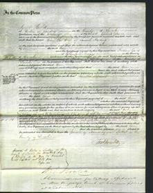 Court of Common Pleas - Ann Harding-Original Ancestry