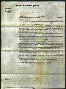 Court of Common Pleas - Mary Jones Coleman-Original Ancestry