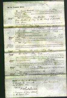 Court of Common Pleas - Mary Anne Openshaw-Original Ancestry