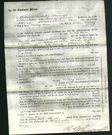 Court of Common Pleas - Mary Ann Facey-Original Ancestry