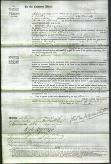 Court of Common Pleas - Rosanna Thomas-Original Ancestry