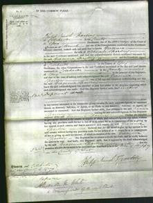 Court of Common Pleas - Gracenia Sparling-Original Ancestry