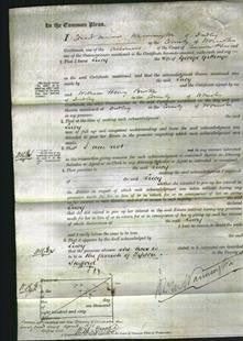 Court of Common Pleas - Lucy Gittings-Original Ancestry