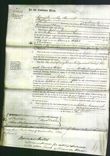 Court of Common Pleas - Sophia Susannah Meers-Original Ancestry