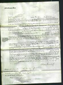 Court of Common Pleas - Anna Sarah Giles-Original Ancestry