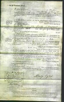 Court of Common Pleas - Mary Osborne-Original Ancestry