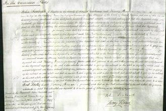 Court of Common Pleas - Esther Moule-Original Ancestry