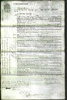 Court of Common Pleas - Mary Ann Brown-Original Ancestry