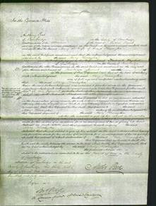 Court of Common Pleas - Mary Herrington-Original Ancestry