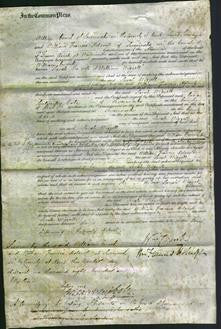 Court of Common Pleas - Sarah Wigzell-Original Ancestry