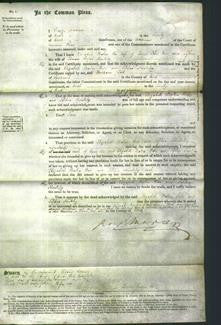 Court of Common Pleas - Elizabeth Baker Wise and Sophia Hinkley-Original Ancestry