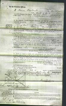 Court of Common Pleas - Frances Varley Lamplugh-Original Ancestry