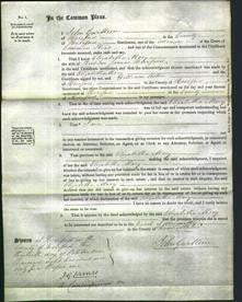 Court of Common Pleas - Elizabeth Mary Hereford-Original Ancestry