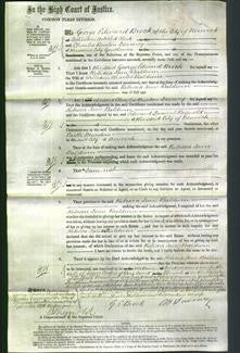 Court of Common Pleas - Rebecca Jane Baldwin-Original Ancestry