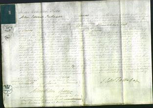 Court of Common Pleas - Sarah Ann Filder-Original Ancestry