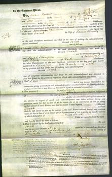 Court of Common Pleas - Sarah Roome-Original Ancestry