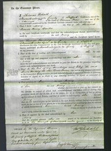 Court of Common Pleas - Mary Barber-Original Ancestry