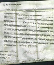 Court of Common Pleas - Mary Ann Bulley-Original Ancestry