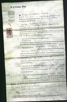 Court of Common Pleas - Matilda Bellini-Original Ancestry