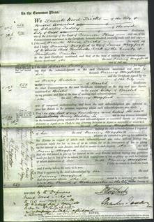 Court of Common Pleas - Fanny Mogford-Original Ancestry