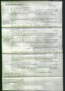 Court of Common Pleas - Mary Wood-Original Ancestry